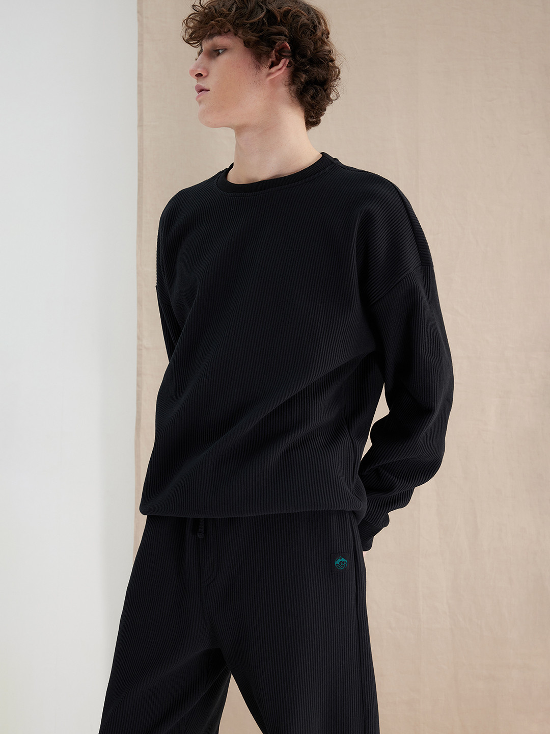 

Trendyol Self Design Drop Shoulder Sleeves Pullover, Black