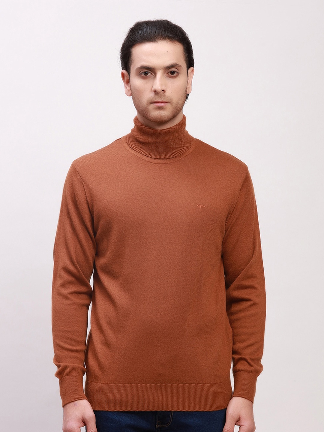 

ColorPlus Turtle Neck Woollen Pullover, Brown