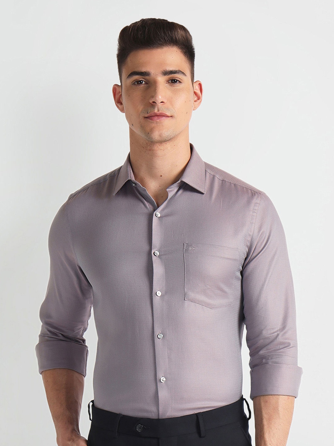 

Arrow Long Sleeves Regular Fit Cotton Opaque Formal Shirt, Purple