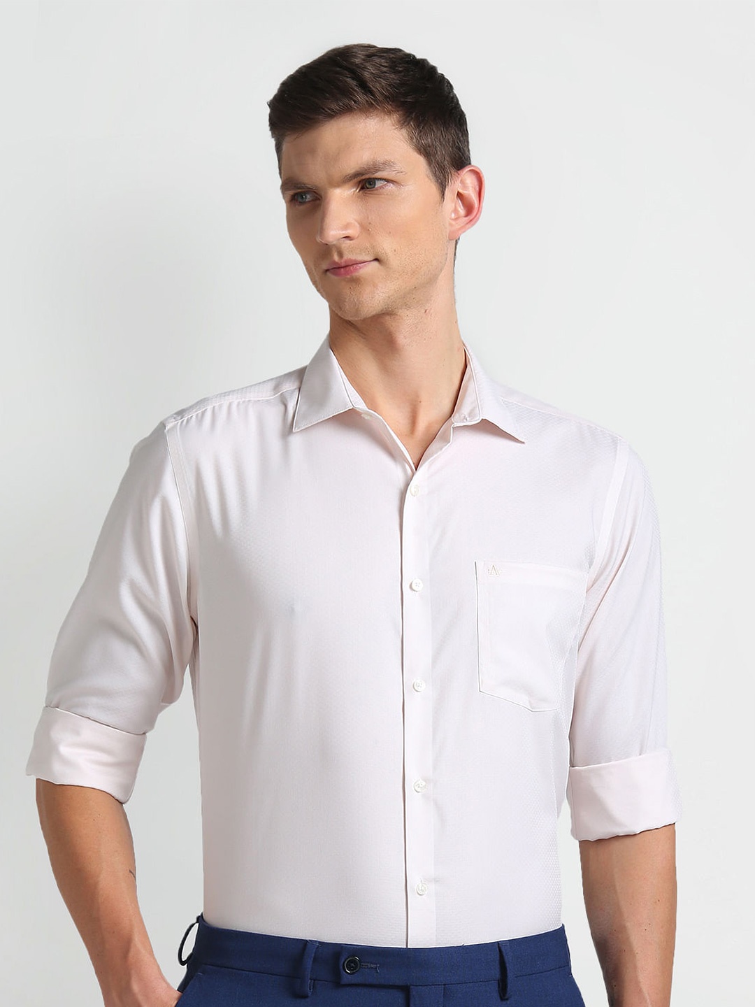 

Arrow Spread Collar Opaque Cotton Autopress Formal Shirt, Beige