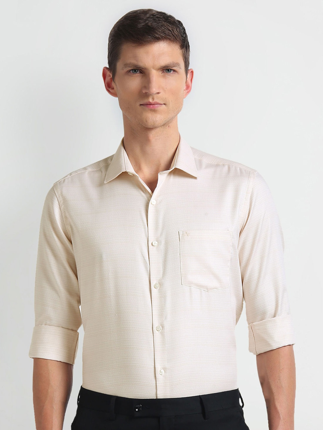 

Arrow Textured Cotton Spread Collar Slim Fit Opaque Formal Shirt, Beige