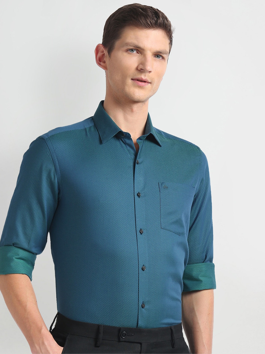 

Arrow Spread Collar Slim Fit Opaque Cotton Formal Shirt, Green
