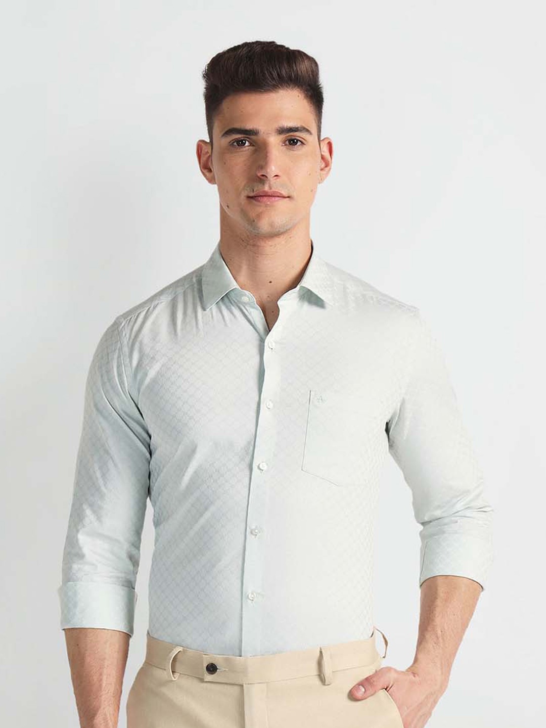 

Arrow Spread Collar Long Sleeves Slim Fit Cotton Formal Shirt, Green