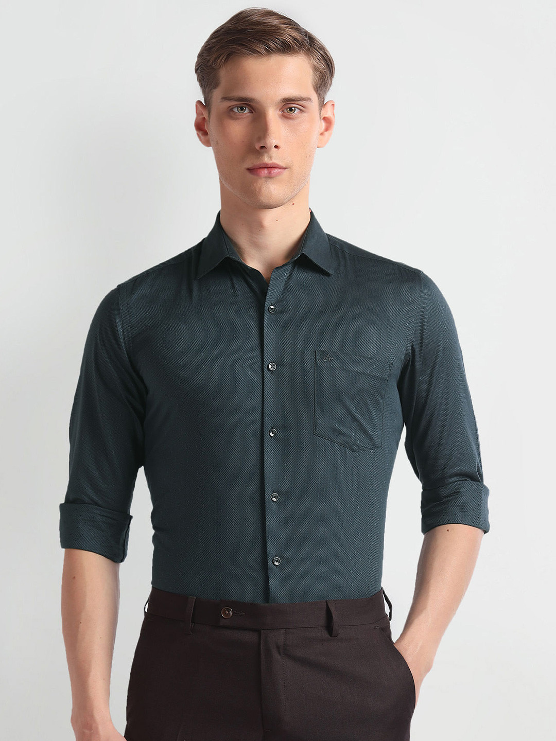 

Arrow Slim Fit Long Sleeves Cotton Opaque Formal Shirt, Grey