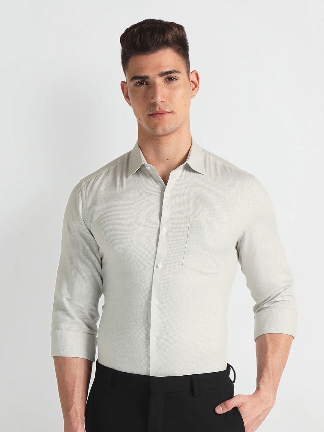 

Arrow Long Sleeves Regular Fit Cotton Opaque Formal Shirt, Grey