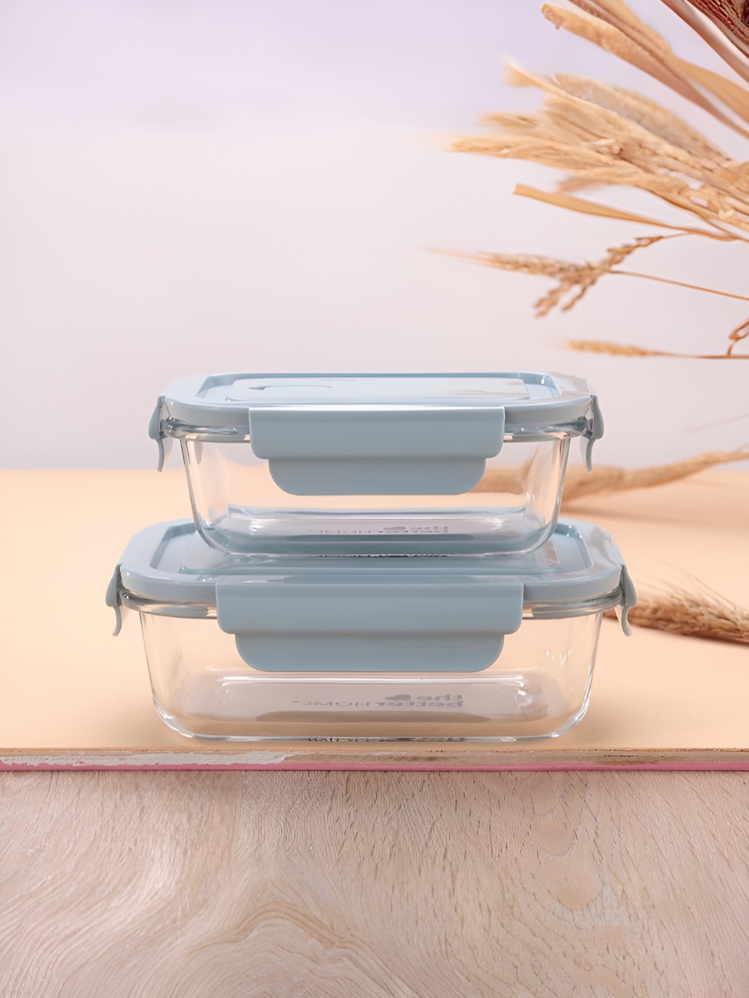 

The Better Home Set Of 2 Blue Borosilicate Glass Containers Dishwasher And Microwave Safe