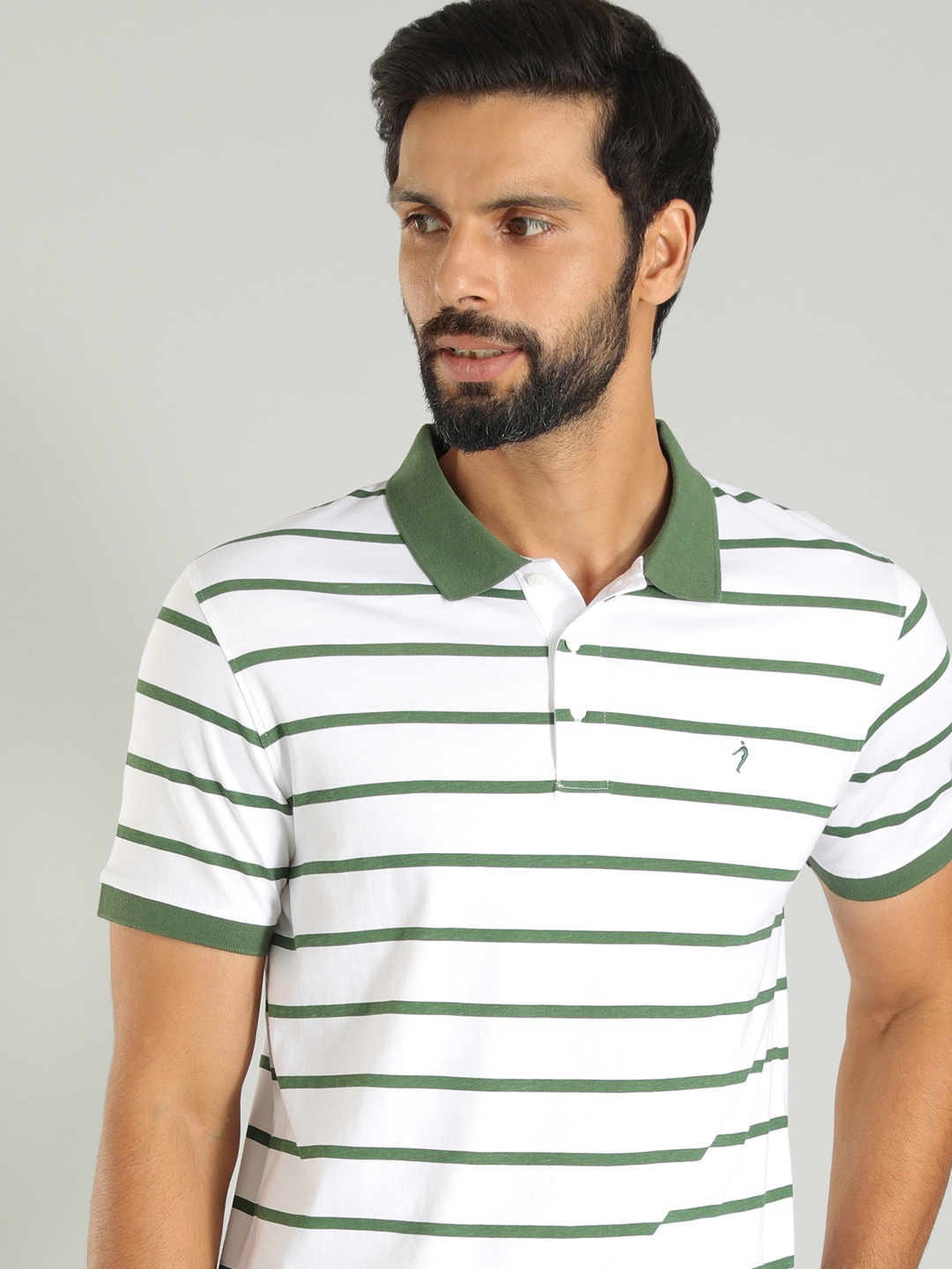 

Indian Terrain Striped Polo Collar Pure Cotton T-shirt, Green