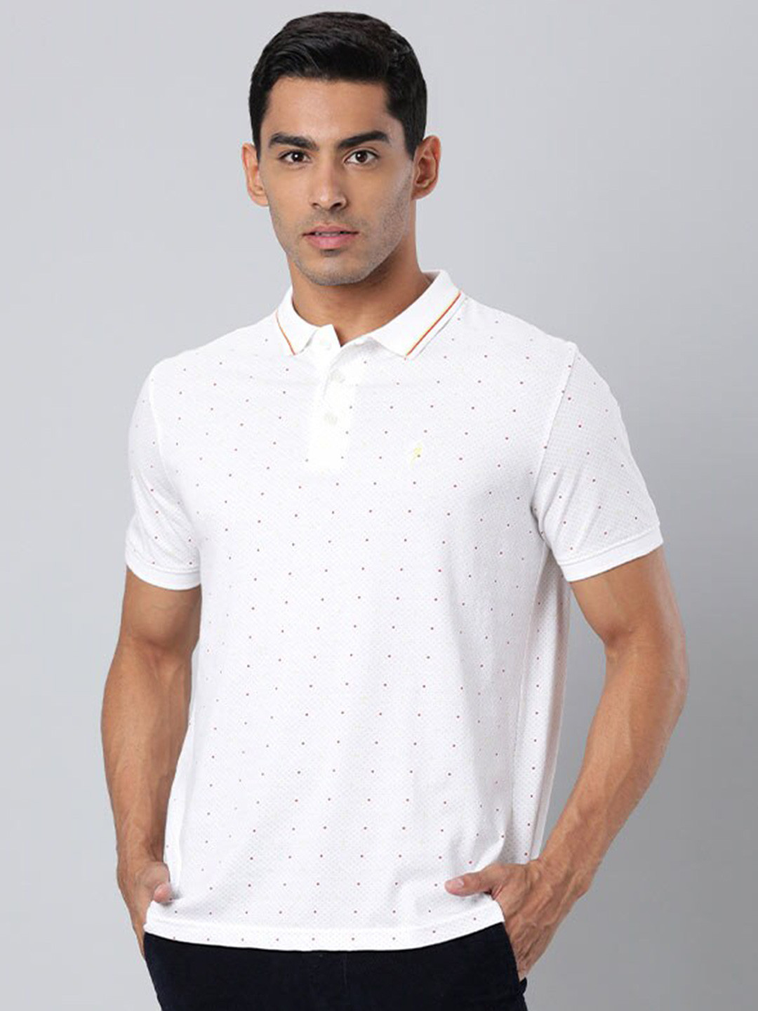 

Indian Terrain Micro Ditsy Printed Polo Collar T-shirt, White
