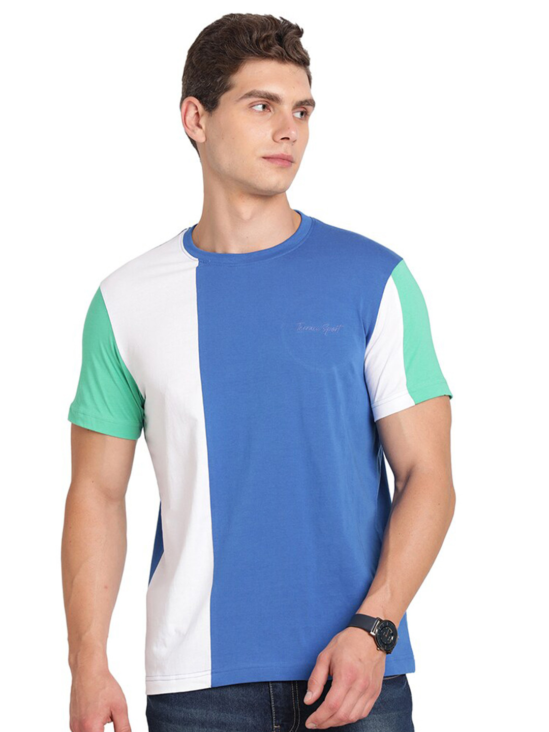 

Indian Terrain Colourblocked Cotton Round Neck T-shirt, Blue