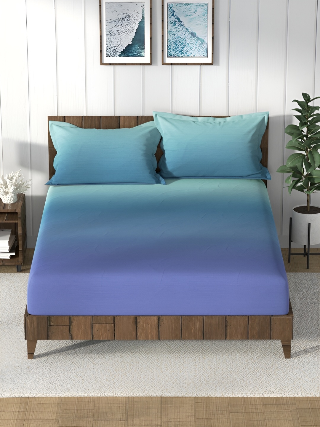 

Nautica Blue & Green 160 TC Cotton Queen Bedsheet with 2 Pillow Covers