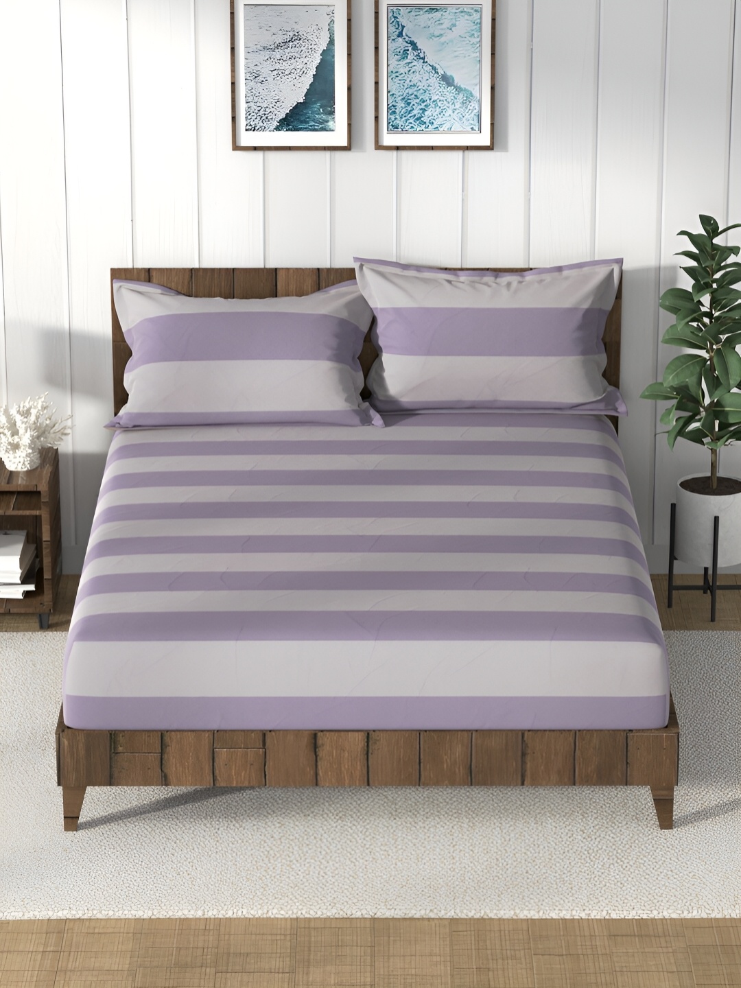 

Nautica Purple & Off White Striped 160 TC Cotton Queen Bedsheet with 2 Pillow Covers