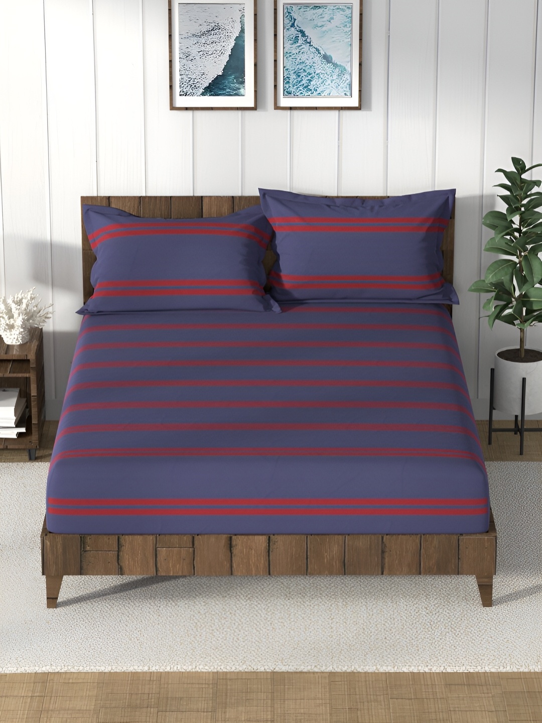 

Nautica Blue & Red Striped 160 TC Cotton Queen Bedsheet with 2 Pillow Covers