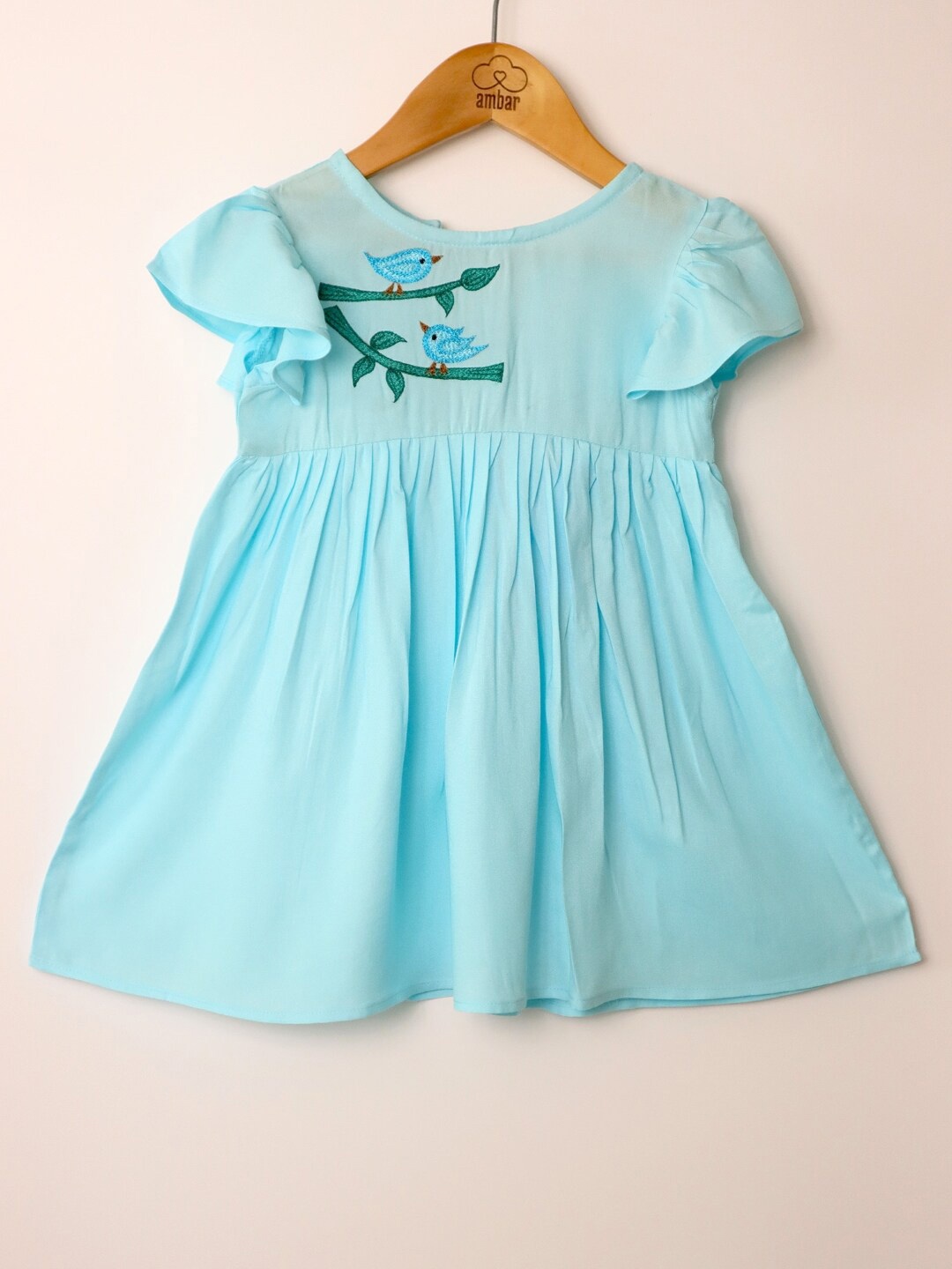 

BAESD Girls Round Neck Cap Sleeves Embroidered Cotton Fit & Flare Dress, Blue
