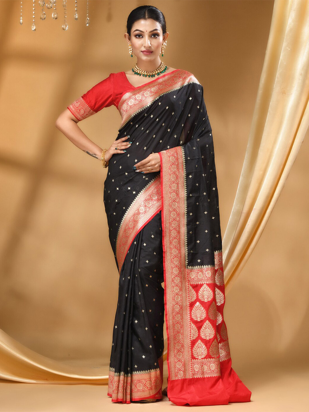 

HOUSE OF BEGUM Ethnic Motifs Woven Design Zari Detailed Banarasi Saree, Black