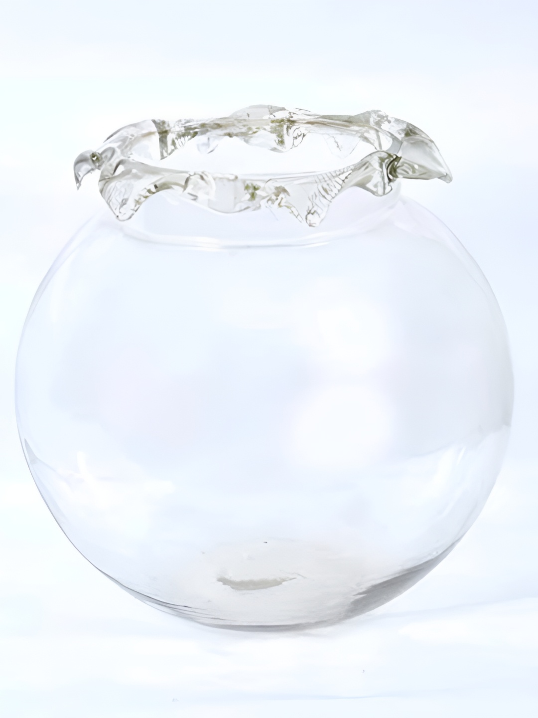 

Afast Transparent Glass Fish Decorative Bowl