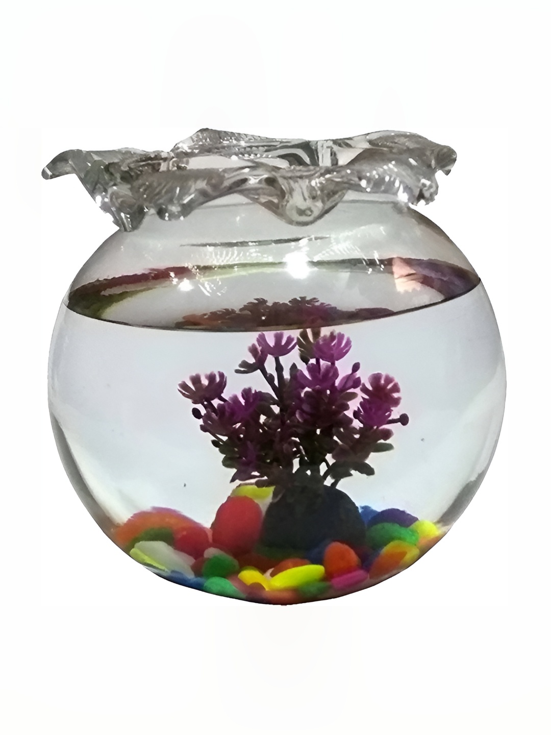 

Afast Transparent Glass Decorative Fish Bowls