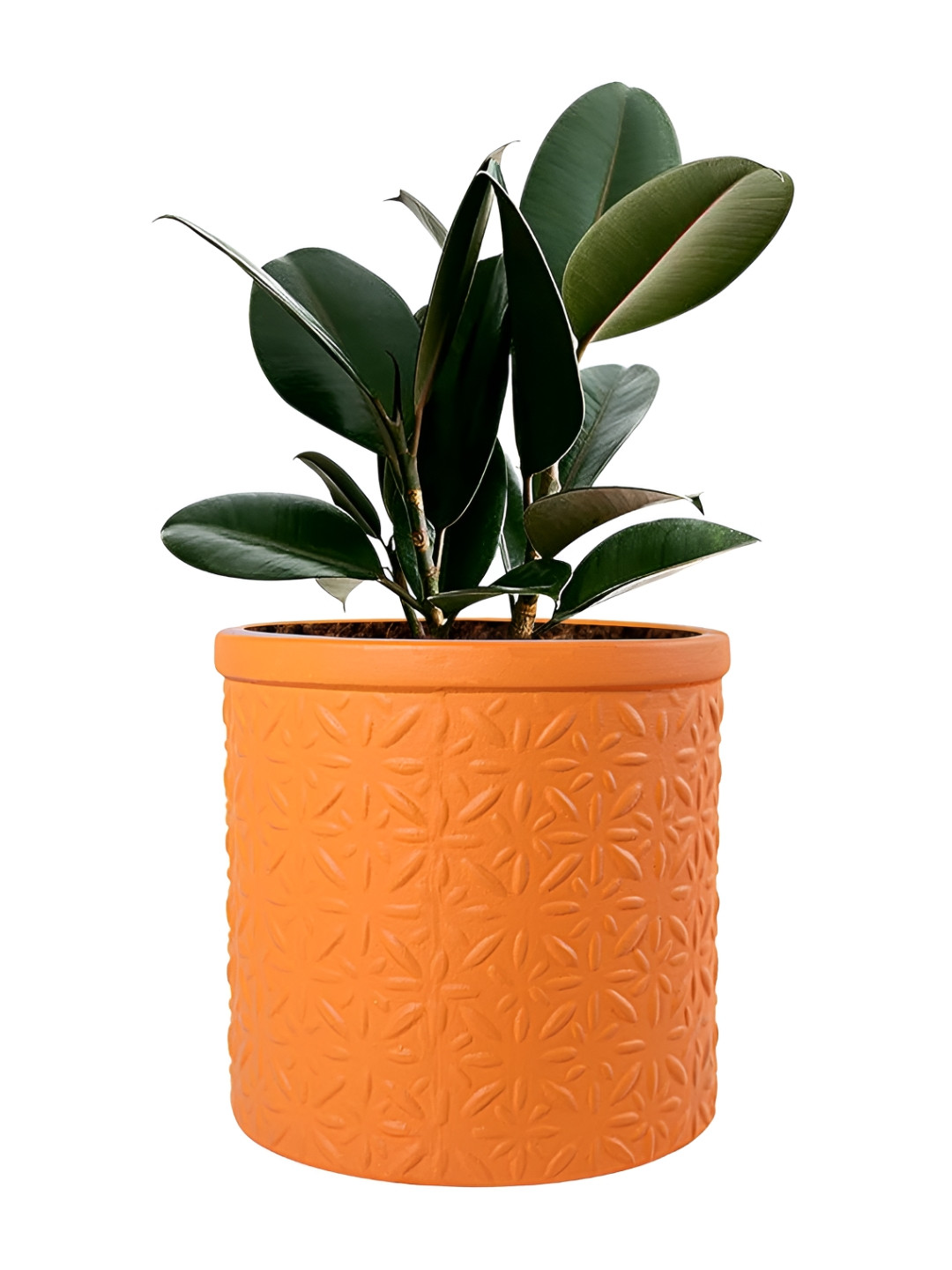 

LASAKI Orange Textured Ceramic Planter