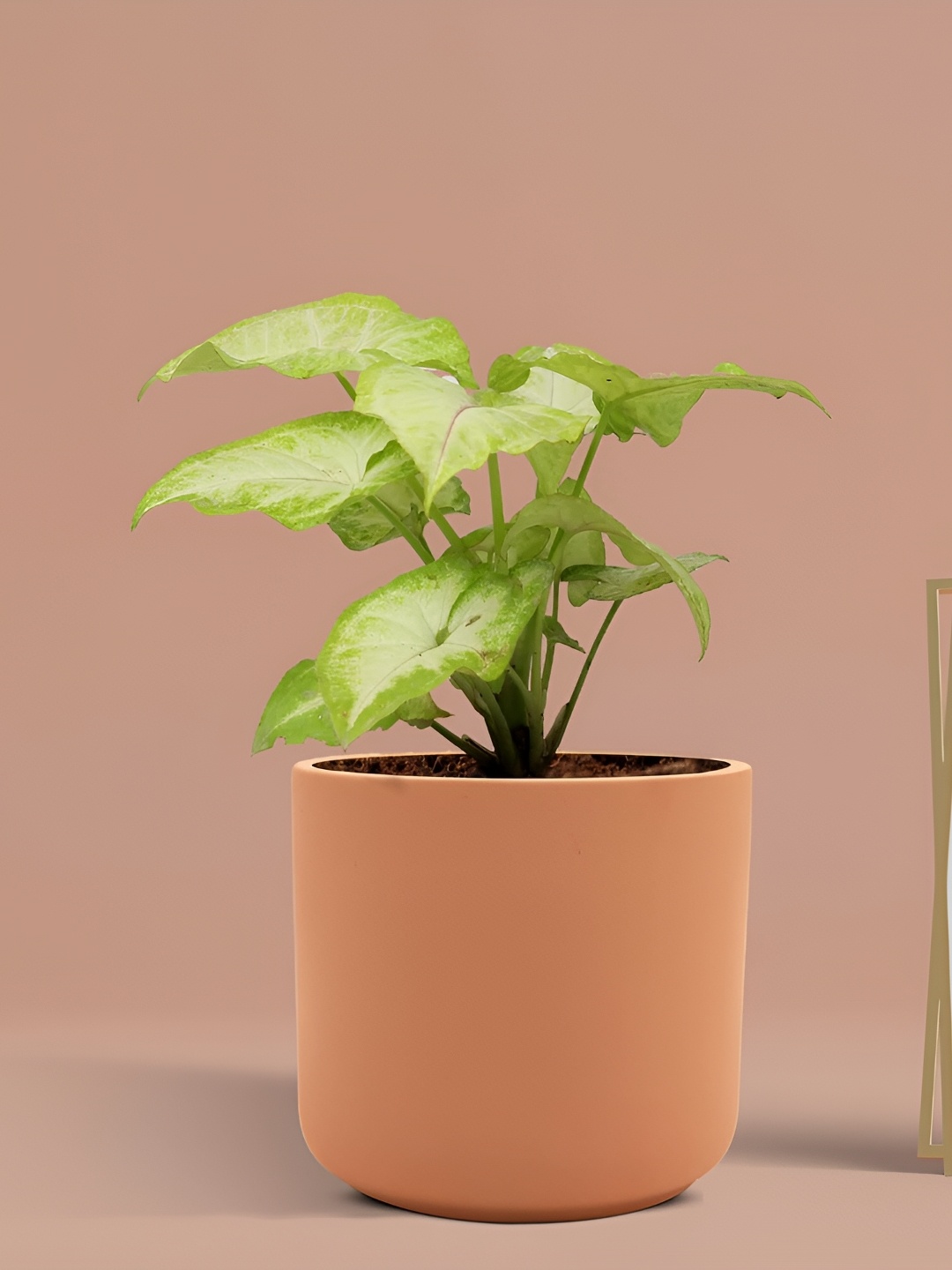 

LASAKI Brown Ceramic Planter