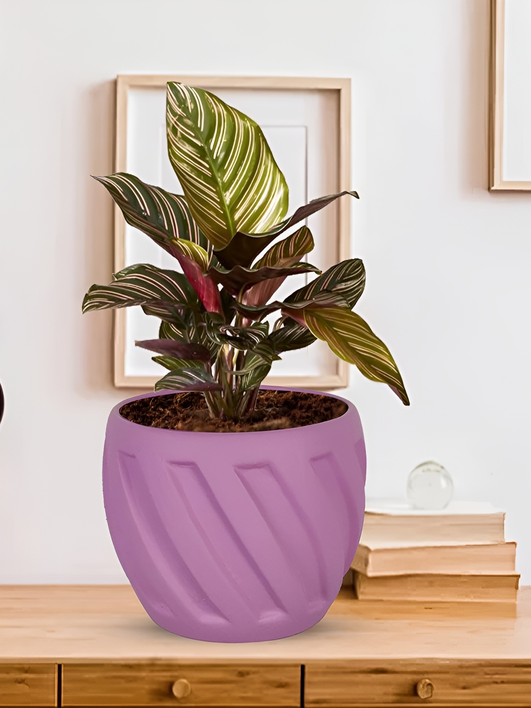 

LASAKI Purple Textured Ceramic Planter