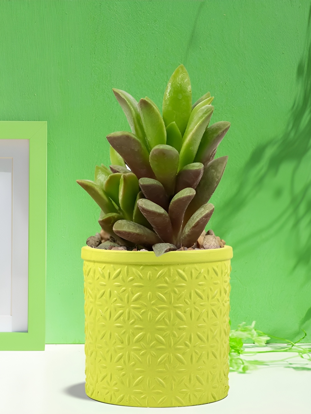 

LASAKI Gloria Lime Green Textured Ceramic Planters