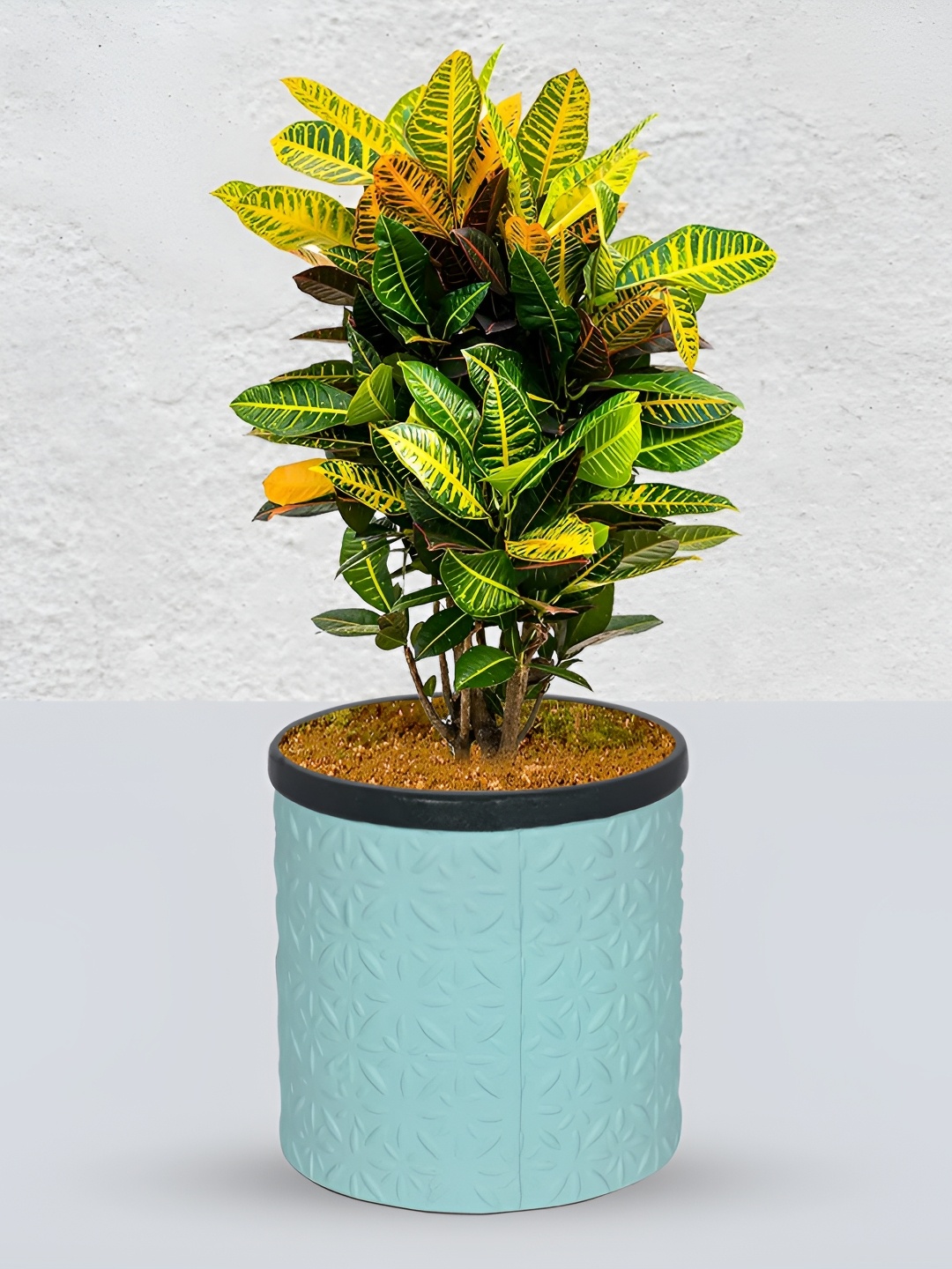 

LASAKI Gloria Blue Textured Ceramic Planter