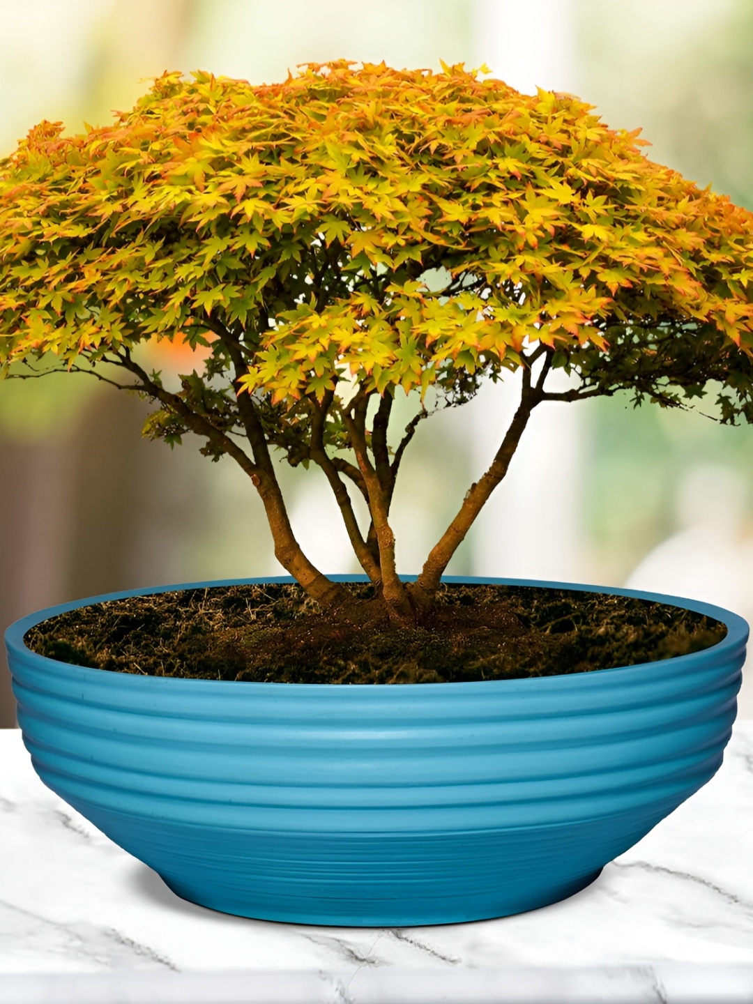 

LASAKI Camry Big Aqua Blue Textured Ceramic Planter