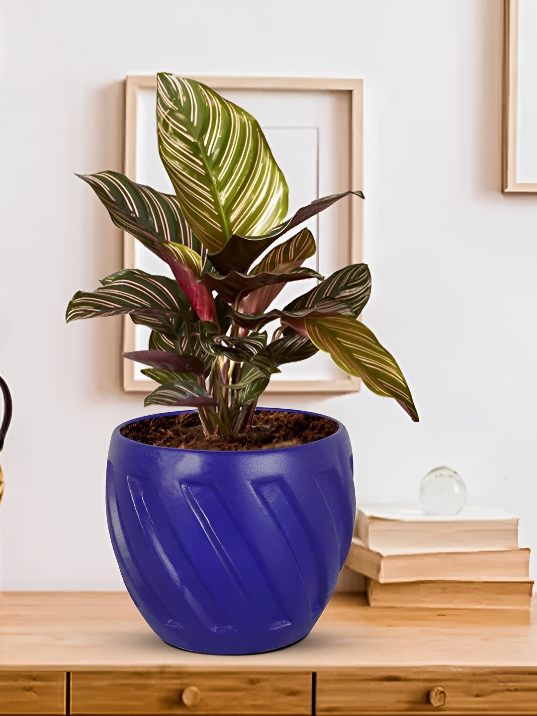 

LASAKI Austin Blue Textured Ceramic Planter, Navy blue