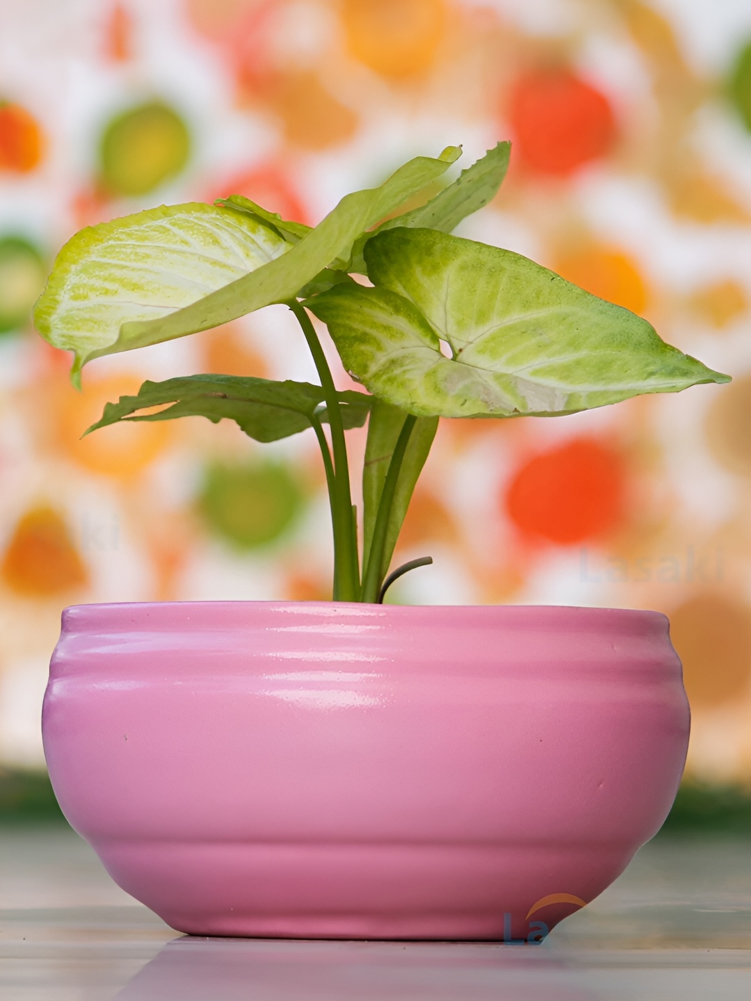 

LASAKI Pink Textured Ceramic Planter