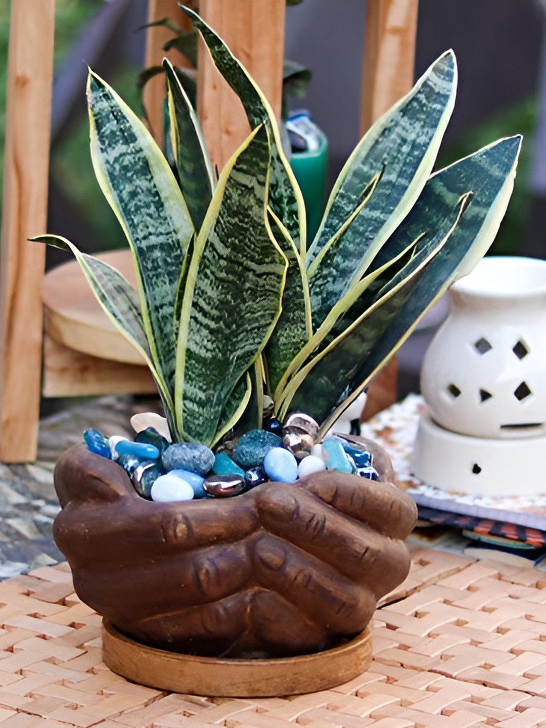 

LASAKI Brown Textured Ceramic Planter With Tray