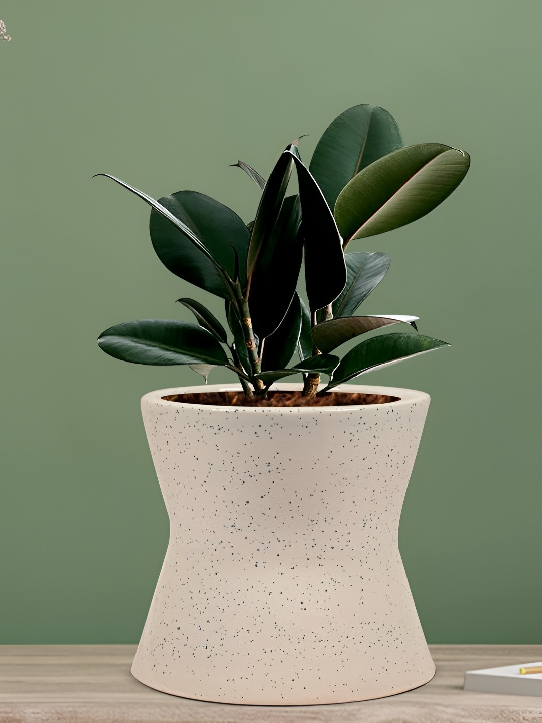 

LASAKI Damru White Textured Ceramic Planter