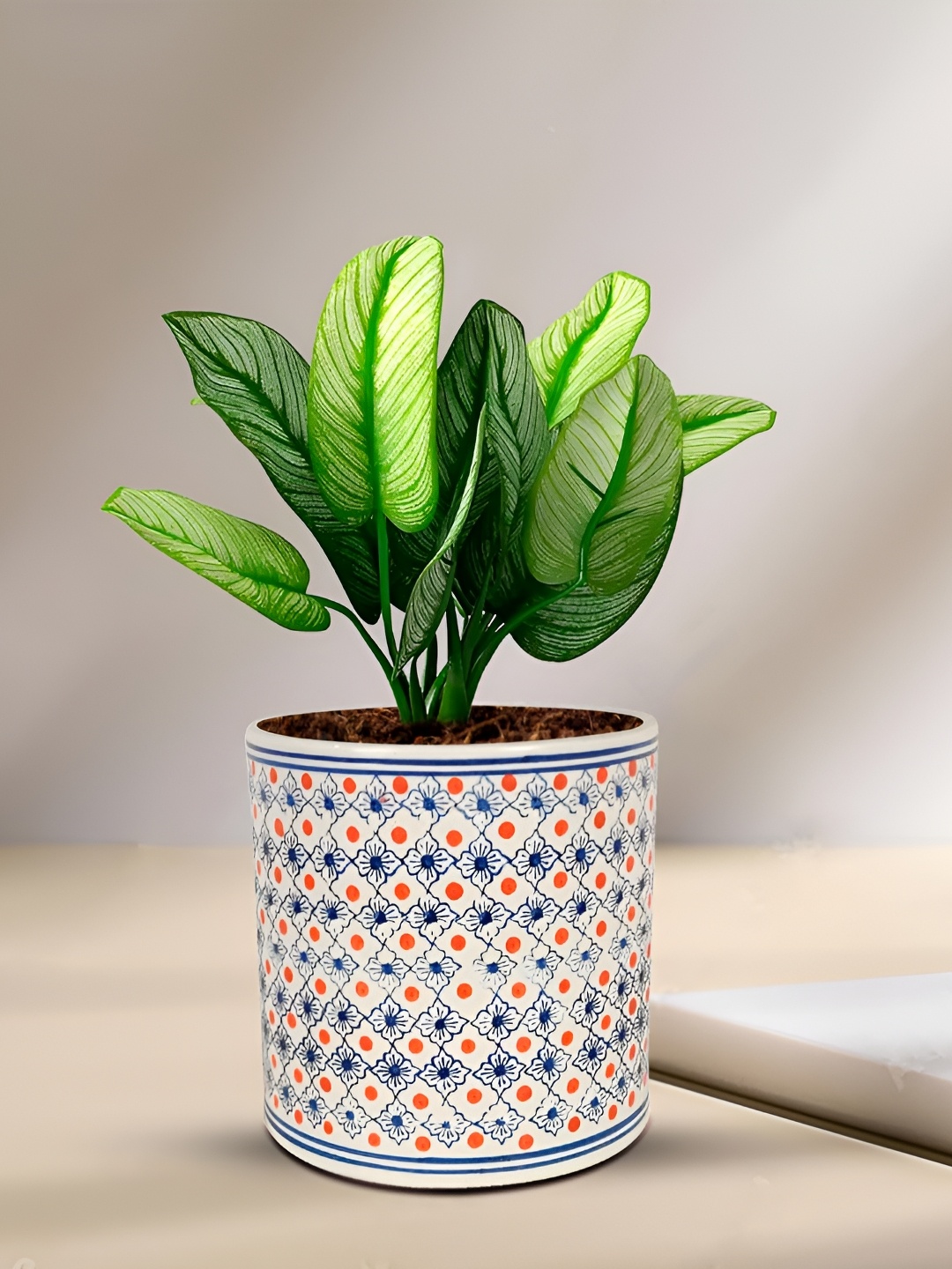 

LASAKI White & Blue Textured Ceramic Planter