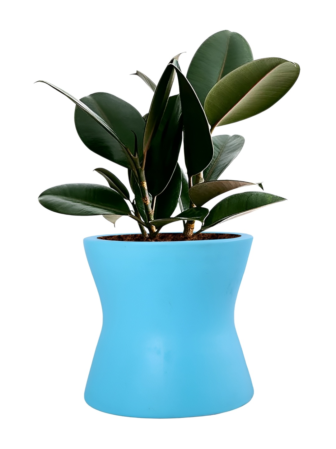 

LASAKI Blue Ceramic Planter