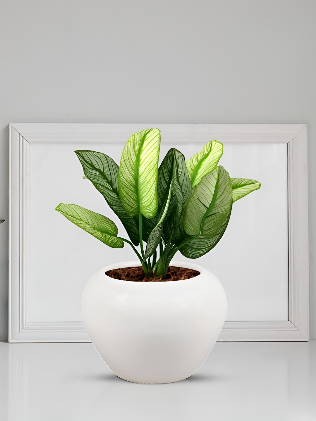 

LASAKI White Cloud Apple Ceramic Planter