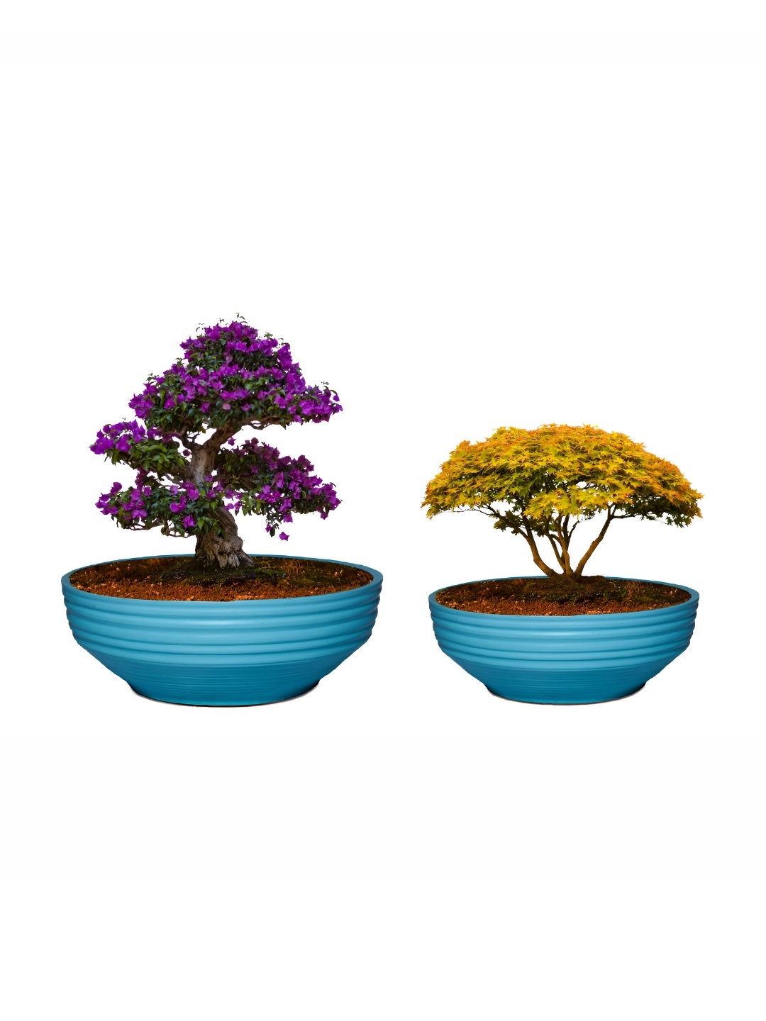 

LASAKI Blue 2Pcs Textured Ceramic Planters