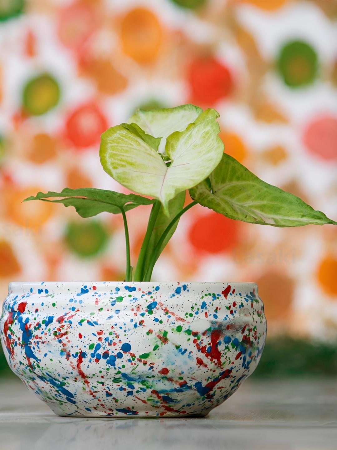 

LASAKI White & Blue Textured Ceramic Planter