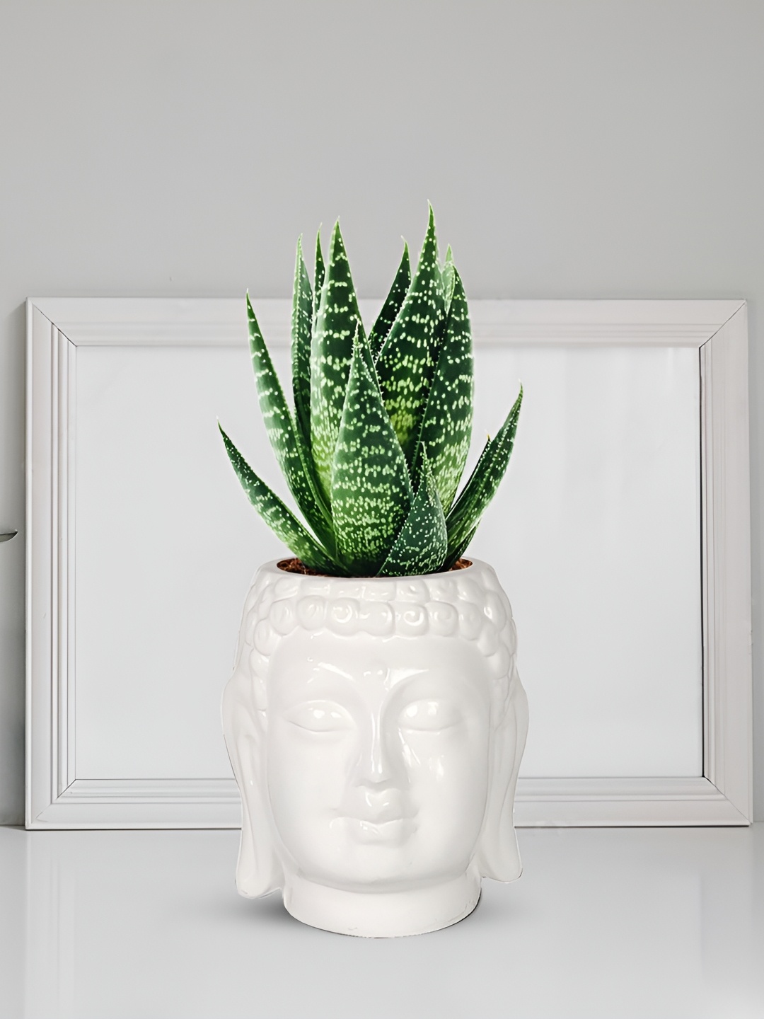 

LASAKI White Buddha Textured Ceramic Planter