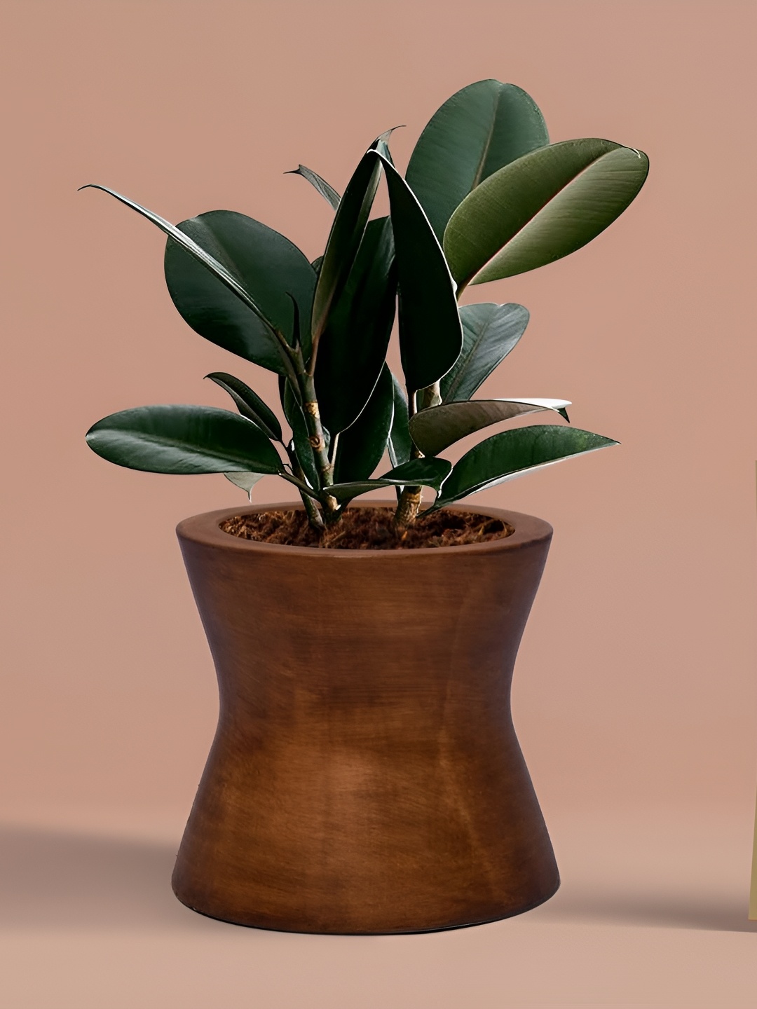 

LASAKI Brown Ceramic Planter