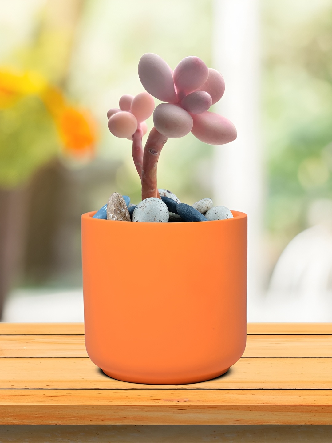 

LASAKI Zeno Orange Ceramic Planter