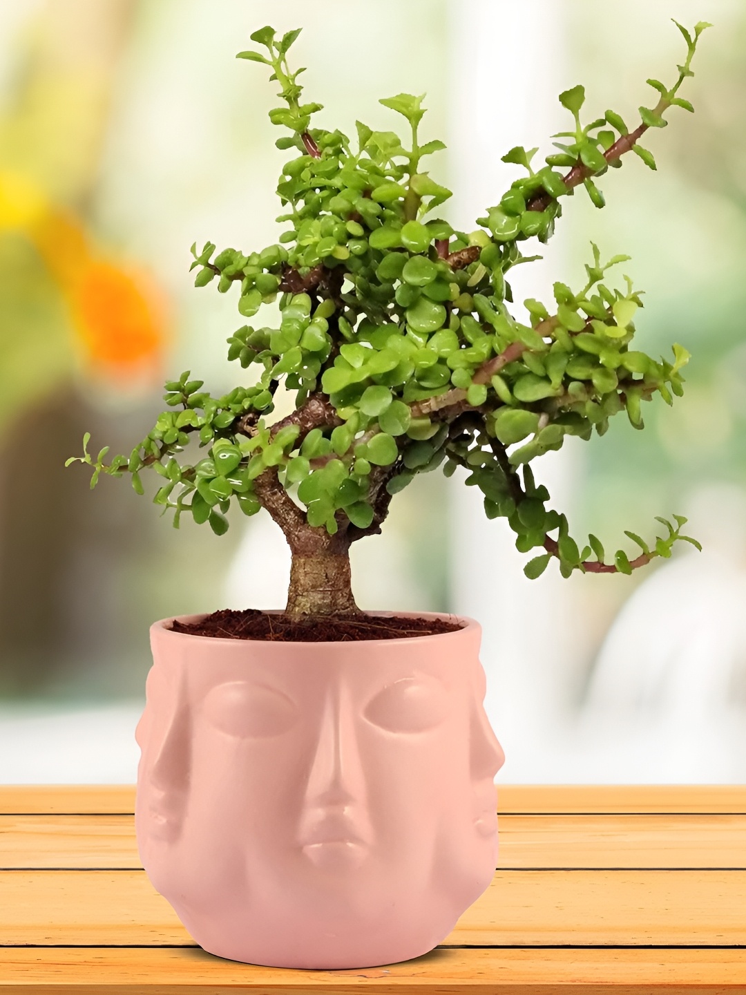 

LASAKI Pink Textured Ceramic Planter
