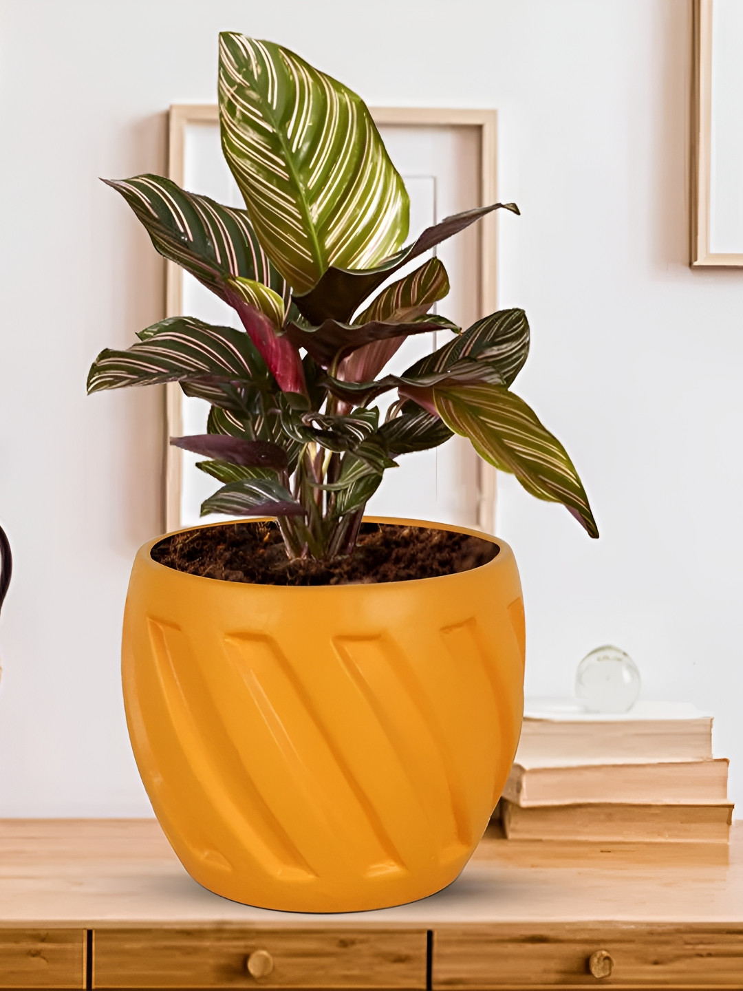

LASAKI Orange Textured Ceramic Planter
