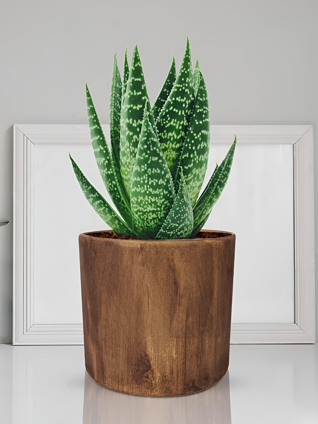 

LASAKI Brown Ceramic Planter