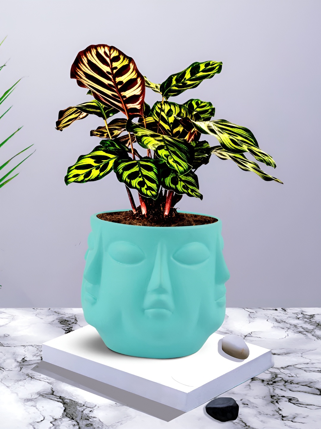 

LASAKI Blue Textured Ceramic Planter