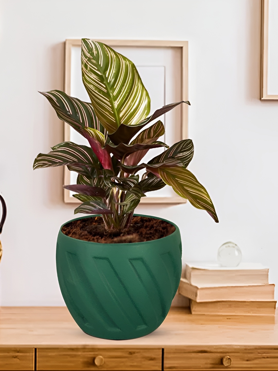 

LASAKI Green Textured Ceramic Planter