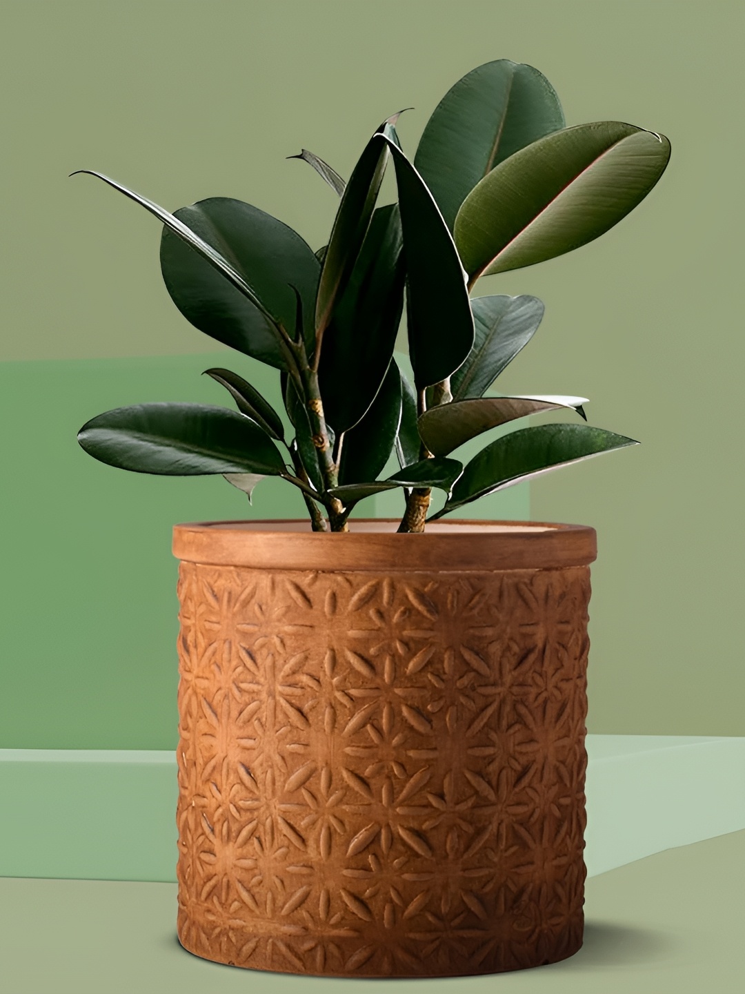 

LASAKI Brown Textured Cylindrical Ceramic Planters
