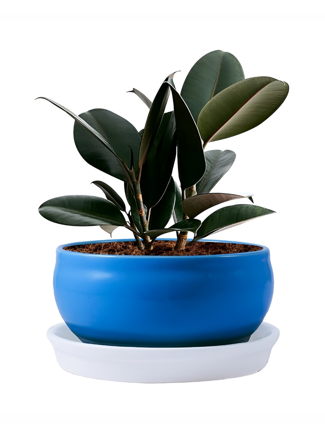 

LASAKI Navy Blue 2 Pieces Bowl Shape Ceramic Planter With Tray