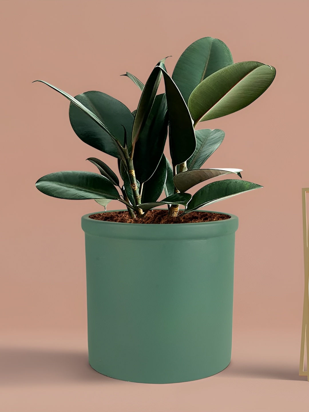 

LASAKI Green Ceramic Planter Holder