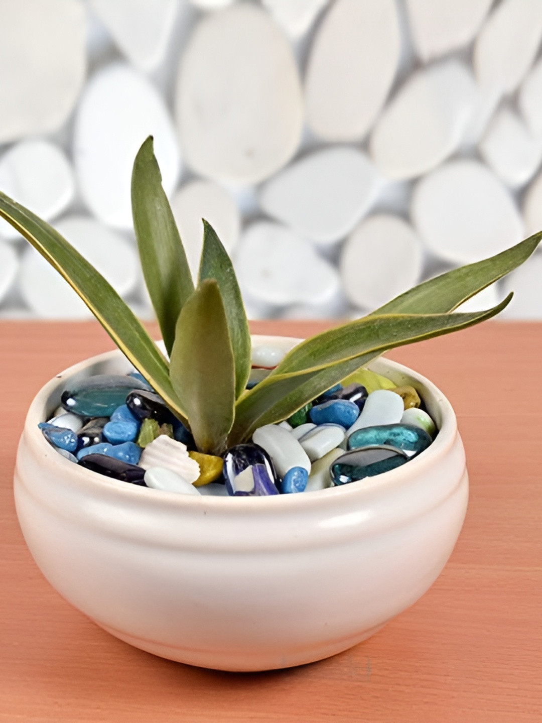 

LASAKI White Ceramic Planter With Holder