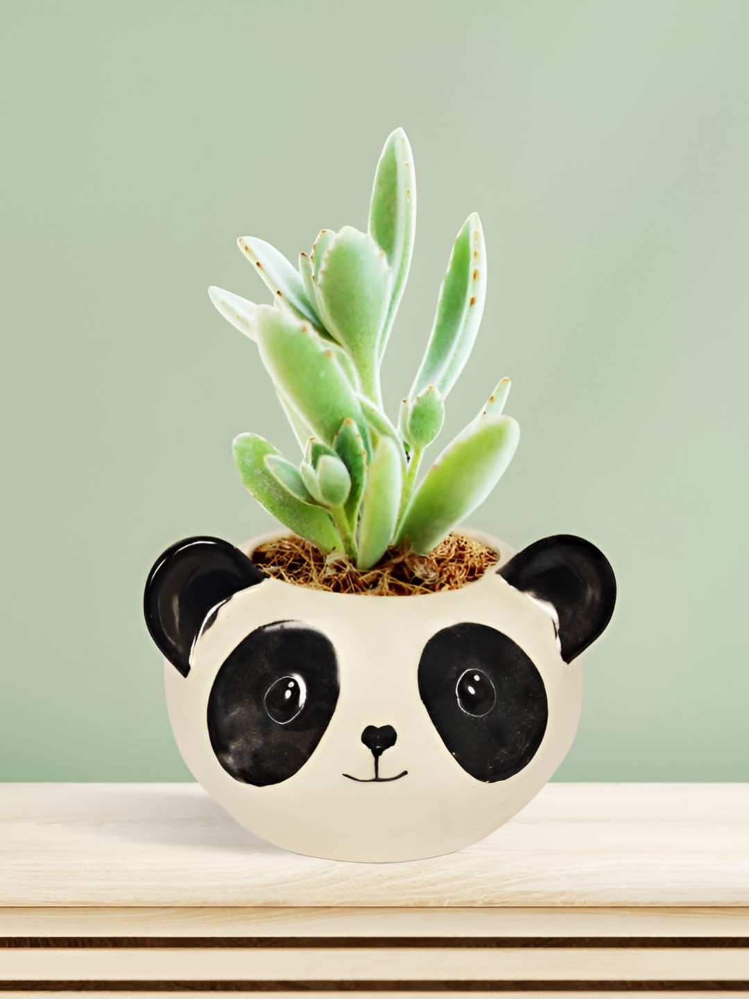 

LASAKI Black & White Textured Ceramic Planter With Holder