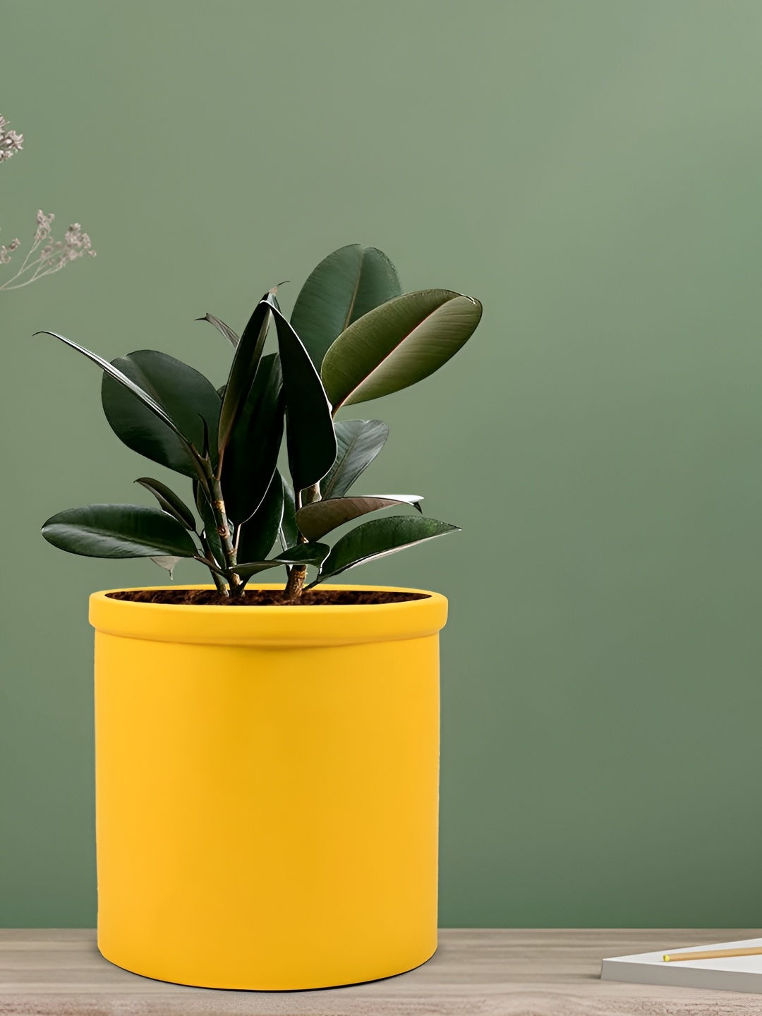 

LASAKI Gloria Yellow Ceramic Planter
