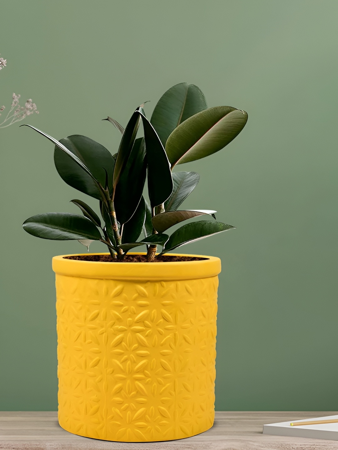 

LASAKI Yellow Textured Ceramic Planter Holder